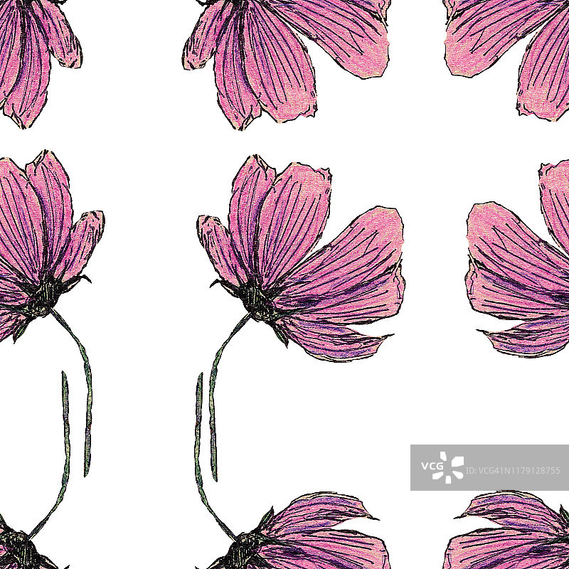 彩色铅笔，绘画，素描，插图，植物学，粉红色的花，花朵，无缝的图案纹理图片素材