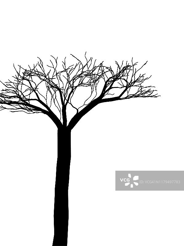黑色和白色的树的剪影图片素材