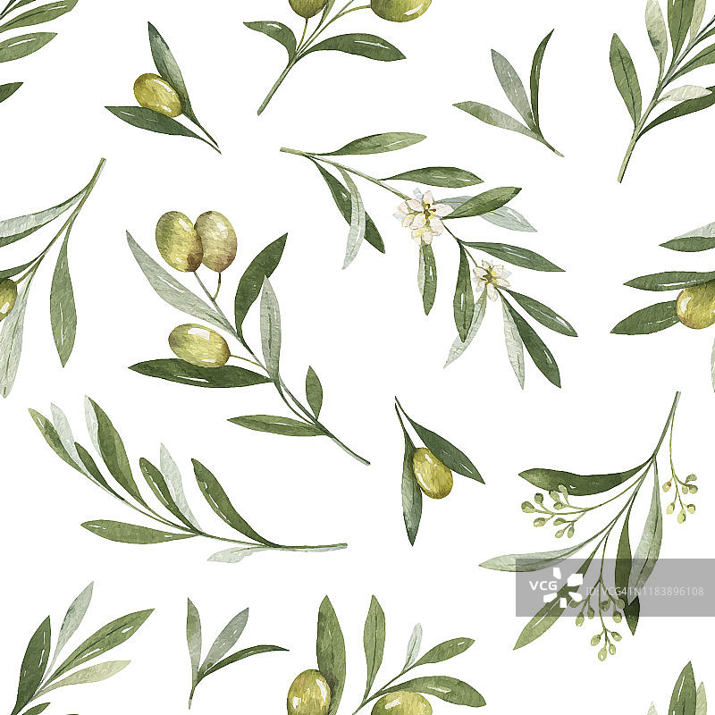 水彩向量无缝模式的橄榄枝和叶子。图片素材