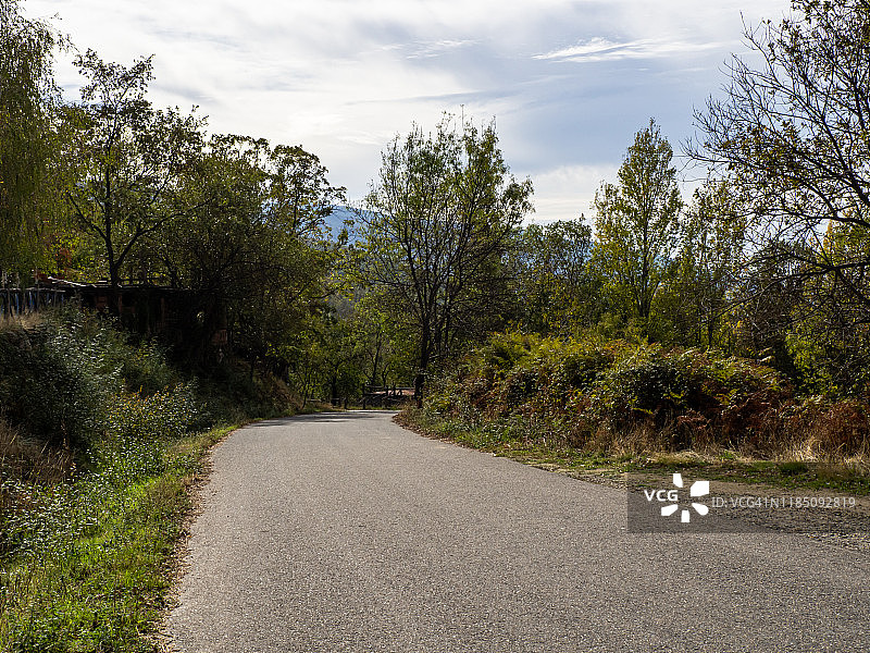 秋天穿过森林的一条蜿蜒的乡村小路图片素材
