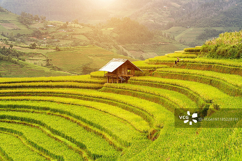 越南萨帕的稻田图片素材