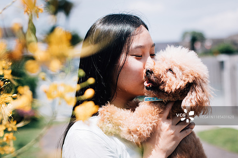 夏日里，在公园的阳光下，拥抱和亲吻宠物贵宾犬微笑图片素材
