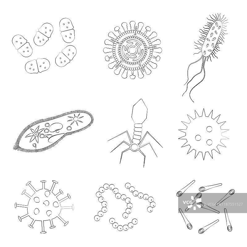细菌，病毒和微生物轮廓图标设置。矢量插图。图片素材