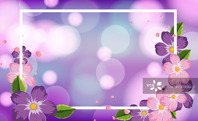 框架模板设计与紫色的花图片素材