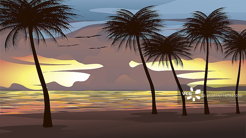 背景矢量插图的海滩，大海，日落的天空与椰子树和鸟类飞行。这是一幅美丽的自然图画。图片素材