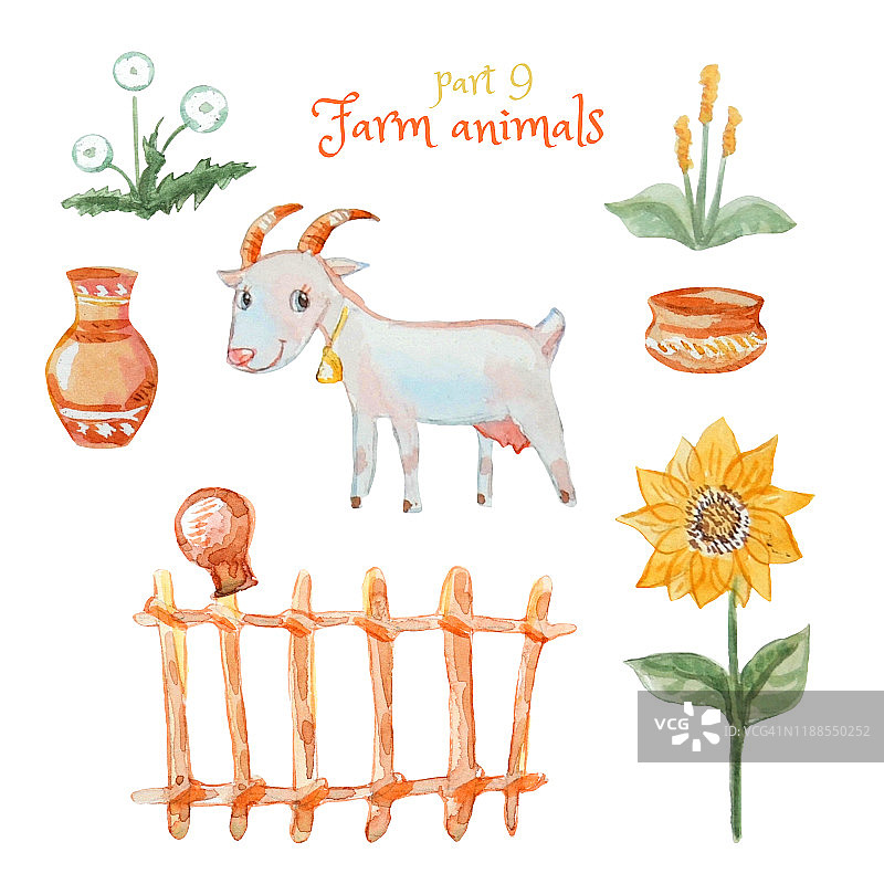 可爱的山羊和一套水彩漫画插图:柳条篱笆，野花，向日葵，一个壶和一个壶。图片素材