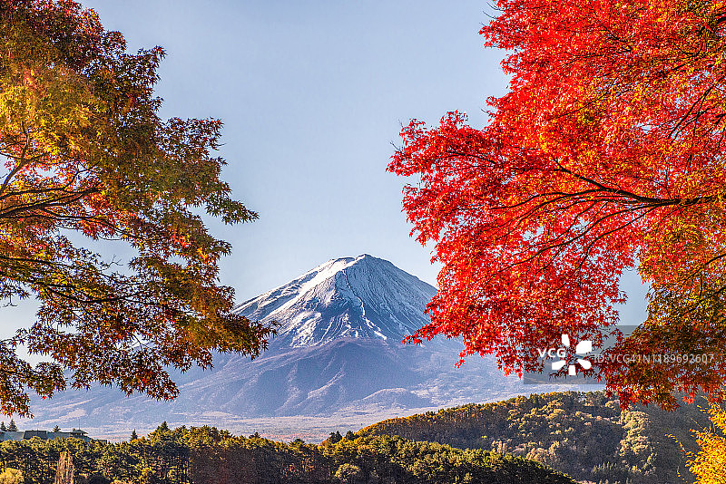 日本川口湖秋日富士山和五颜六色的枫树图片素材