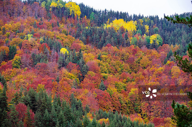 丰富多彩的秋天的作品图片素材