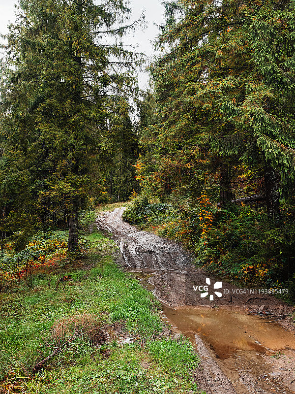 秋天的山林里有泥土路和水坑图片素材