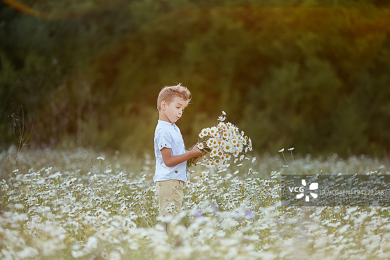 一个孩子在农田里散步，带着雏菊笑着玩图片素材