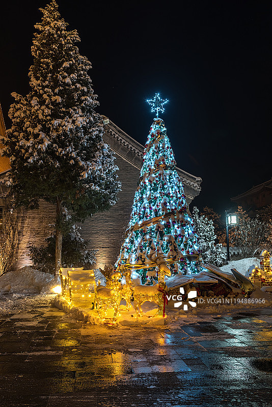 圣诞树被雪覆盖图片素材