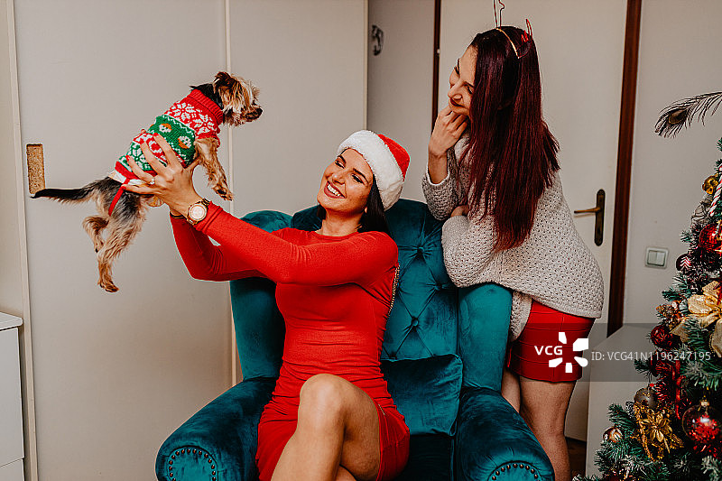 两个女人和约克夏犬庆祝圣诞节图片素材