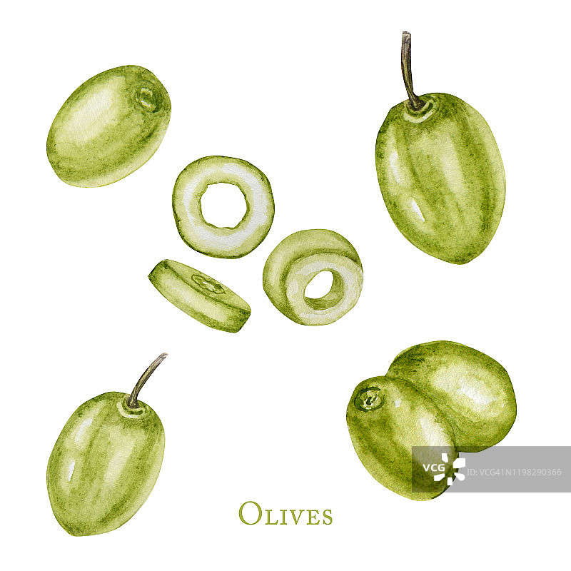 水彩绿色橄榄果实浆果，现实橄榄植物插图孤立在白色背景，手绘，新鲜成熟的樱桃收集标签，卡片设计概念。图片素材