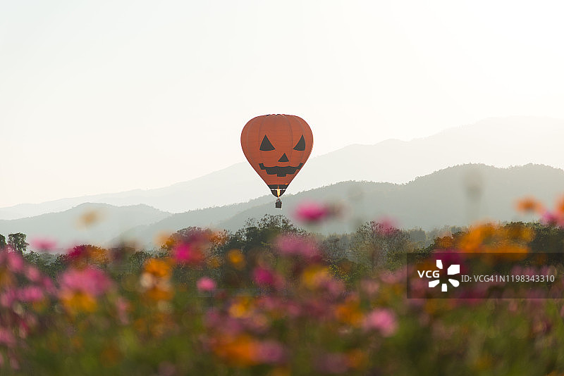 万圣节热气球在泰国清莱省与日出花田上空图片素材