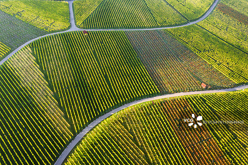 德国，巴登-符腾堡州，斯图加特，从空中俯瞰秋天卡普尔堡山上的葡萄园图片素材