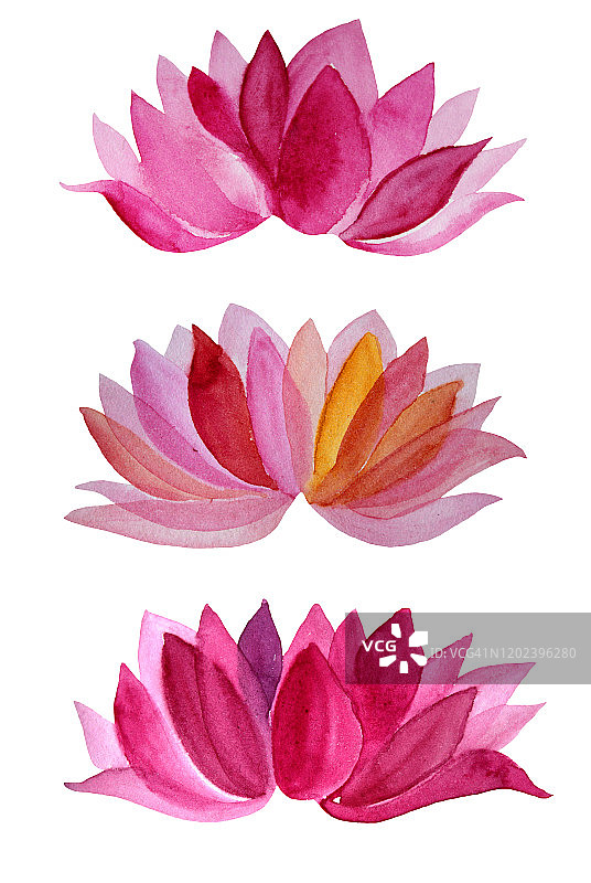 设置水彩手绘粉红色的花莲花孤立在白色的背景图片素材