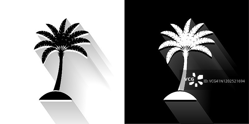 热带棕榈树黑色和白色与长影子的图标图片素材