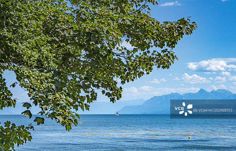 2019年，瑞士日内瓦湖图片素材