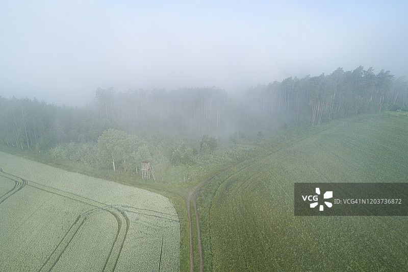 鸟瞰图农田和森林与雾清晨，清澈的蓝天。图片素材