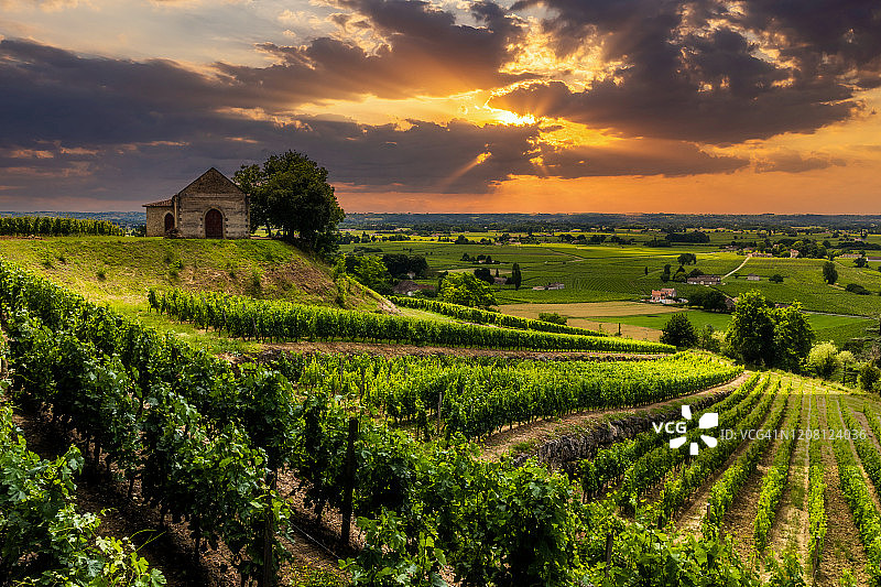 日落时的葡萄园。法国波尔多。在法国旅行图片素材
