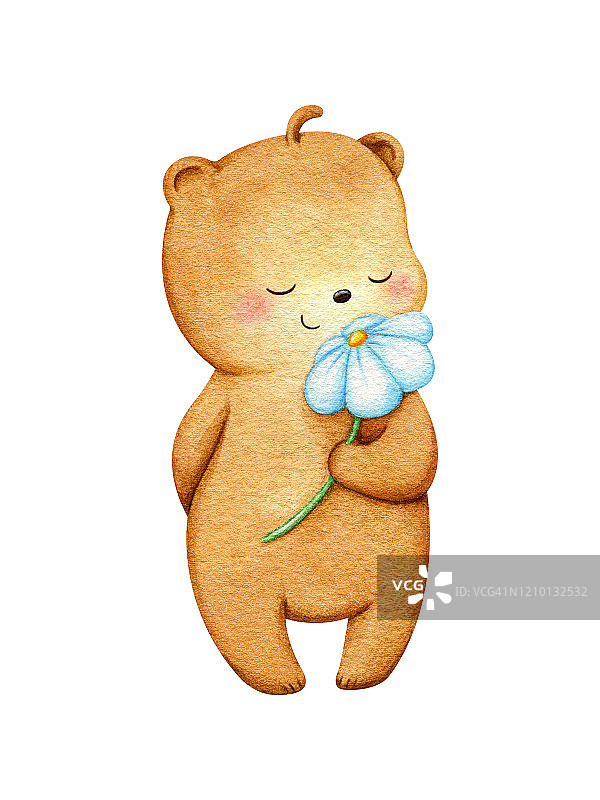 熊的性格站着，闻着一朵白花。可爱的女孩灰熊插图手绘水彩。适合儿童印花、明信片设计、面料。图片素材