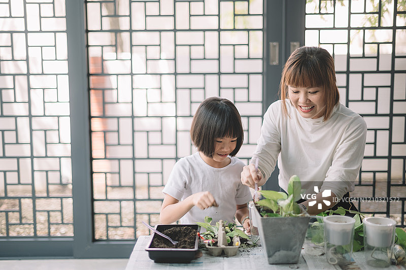 一位亚裔中国母亲在她的房子里照料植物，她的女儿在周末休闲时间建立联系图片素材