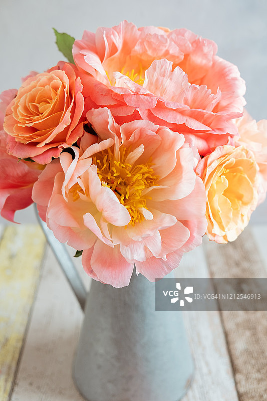 漂亮的粉红色和珊瑚牡丹花和玫瑰与灰色水彩背景在锡花瓶图片素材