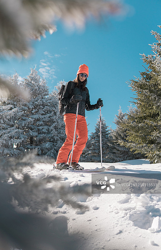 雪林里的女子滑雪者图片素材
