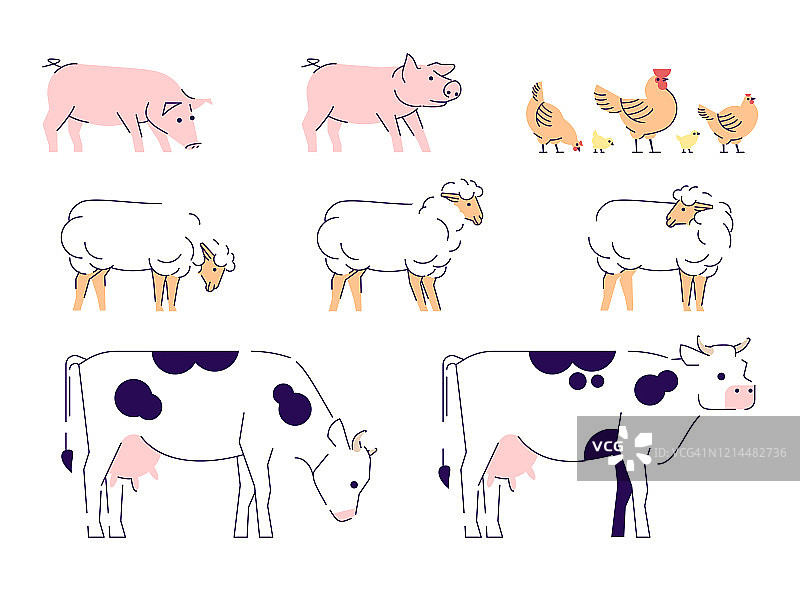 家畜平面病媒插图集。家畜、畜牧、农作孤立的设计元素与轮廓。牛、羊、猪和鸡。乳制品、家禽农场。粗俗的动物集合图片素材