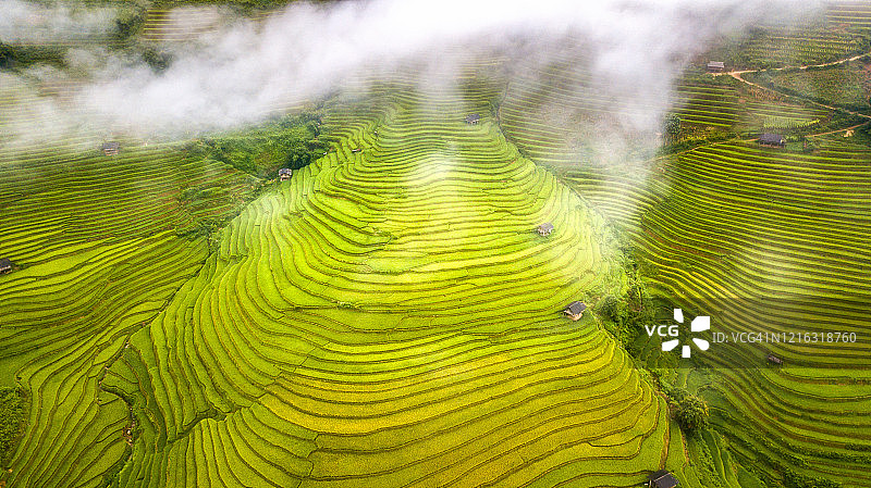 鸟瞰越南木仓寨美丽的稻田图片素材