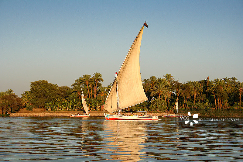在尼罗河上航行的小帆船图片素材