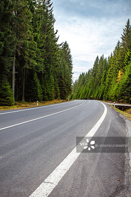 穿过下巴伐利亚州松树林地的道路图片素材