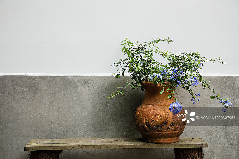 水泥墙边，花瓶里插着一朵春花图片素材