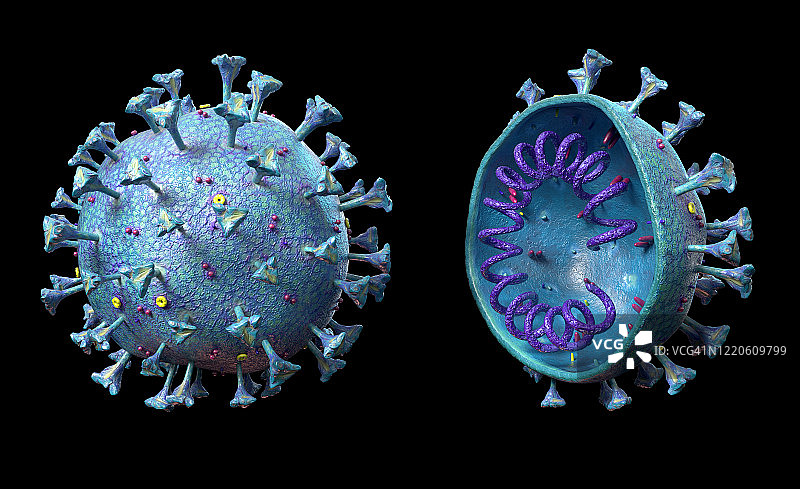 冠状病毒、插图图片素材