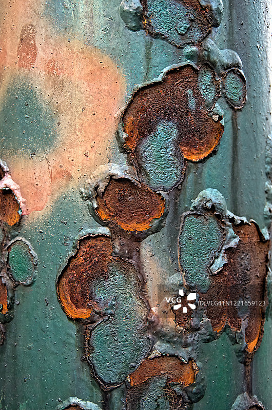 褪色的卡其绿漆从生锈的铁杆上剥落图片素材