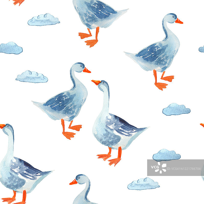 家禽无缝图案:鹅孤立在白色。水彩动画背景。图片素材