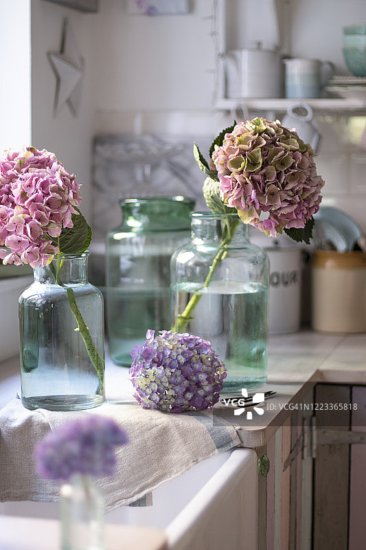 厨房柜台上的玻璃花瓶里装着绣球花图片素材