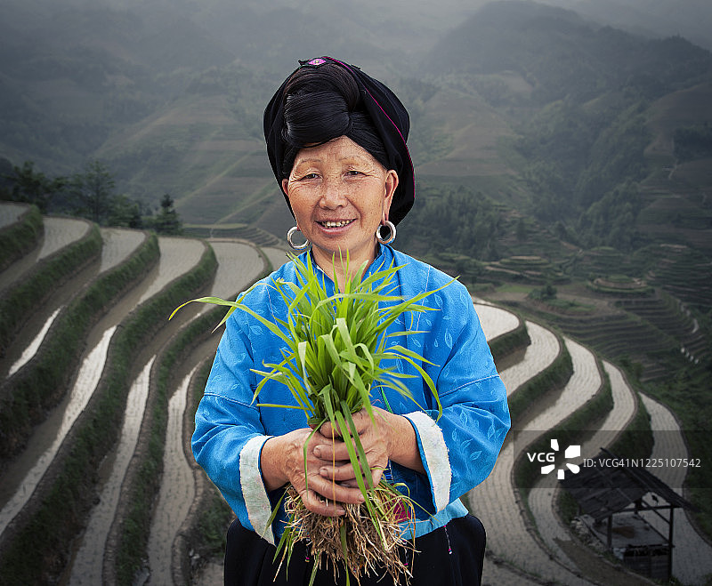 瑶族妇女种植水稻图片素材