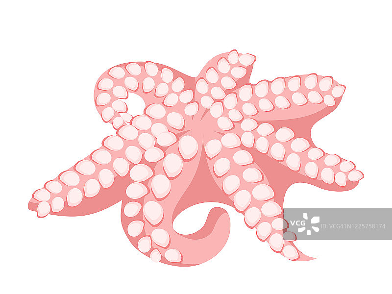 矢量平面插图的海鲜产品章鱼图片素材