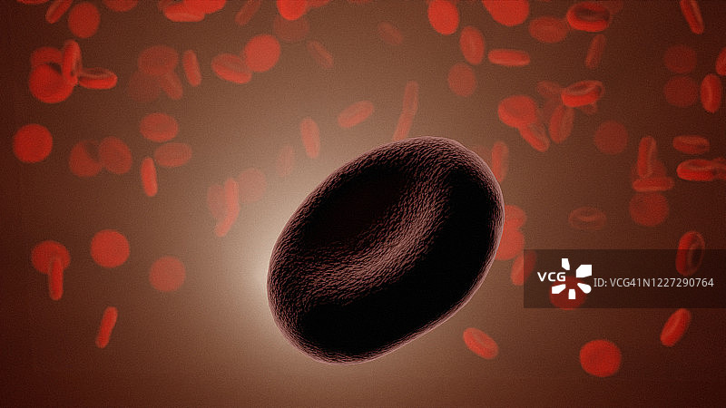 血细胞的显微镜渲染图片素材