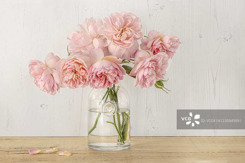 特写，美丽浪漫的静物图像，淡粉色的英国玫瑰在一个水晶花瓶图片素材