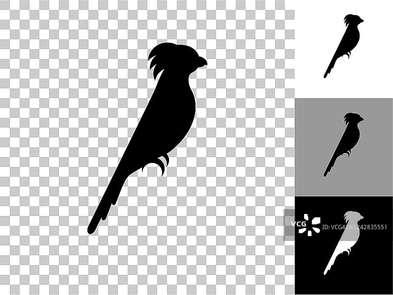 凤头鹦鹉图标在棋盘上透明的背景图片素材
