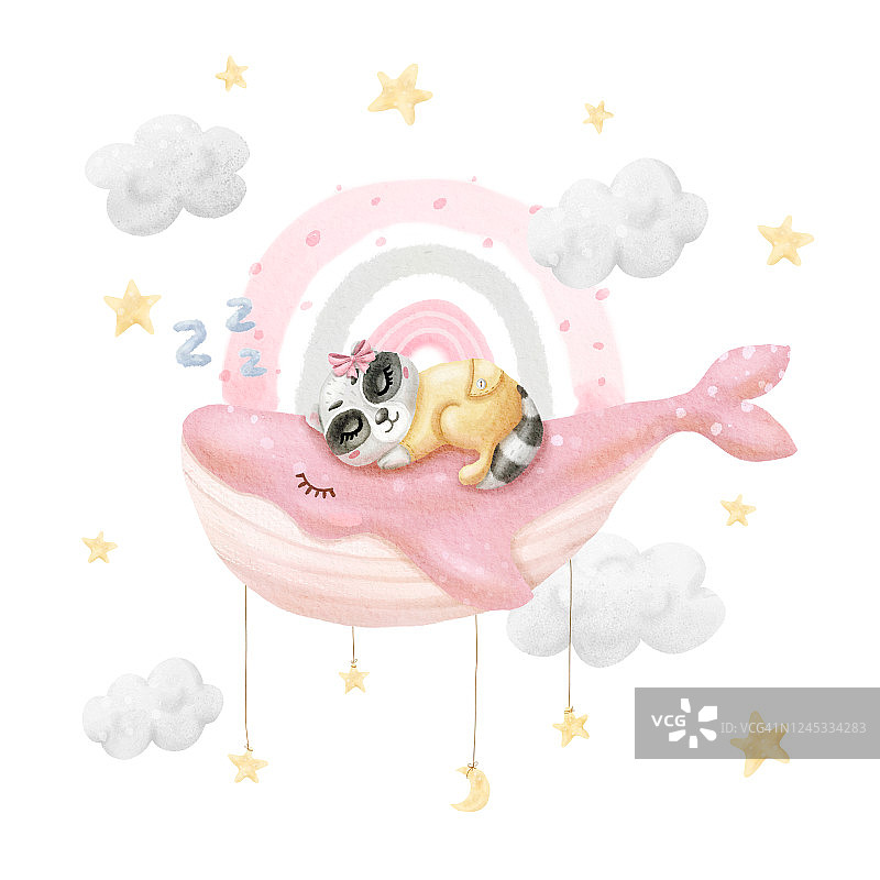 水彩画宝宝睡在鲸鱼上的浣熊。可爱的动物睡觉。婴儿印花或海报。手绘可爱插画当代艺术图片素材