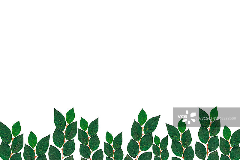 花的背景。绿叶花框架在白色的背景。插图图片素材