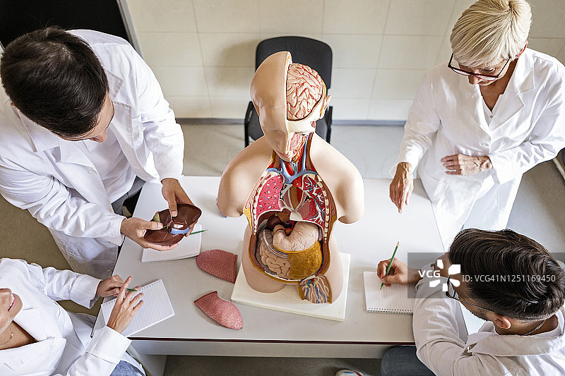 医学学生学习解剖学图片素材