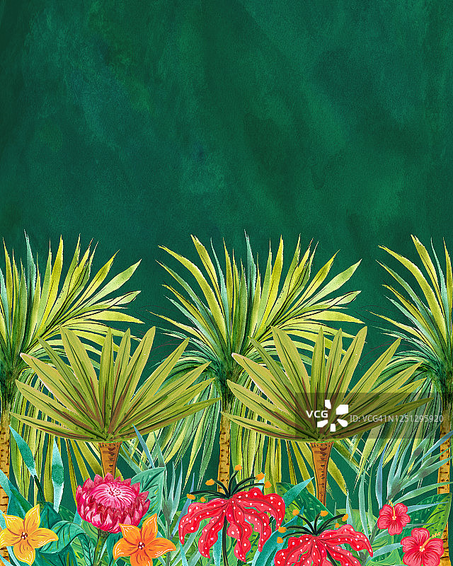 WatercolorTropical植物边界图片素材