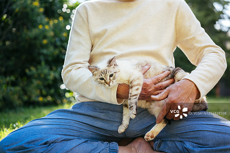 一位老人在花园里抱着他的猫图片素材