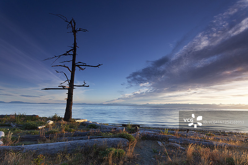 加拿大不列颠哥伦比亚省科莫克斯温哥华岛金海滩省级公园图片素材