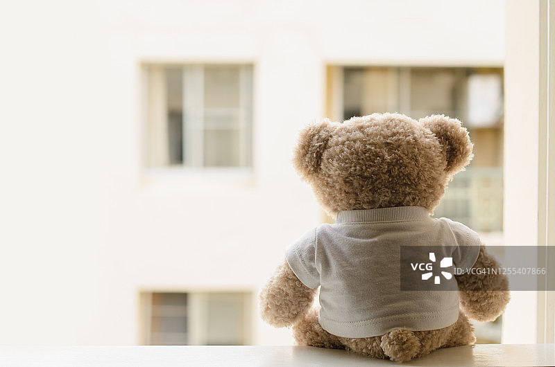 泰迪熊坐在窗边，寂寞熊。图片素材