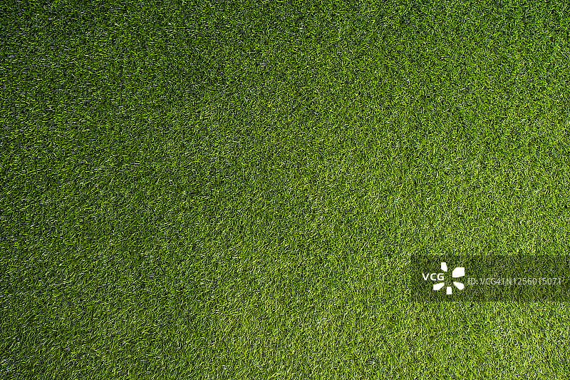 人工草地。绿色背景。清新装饰墙纸图片素材